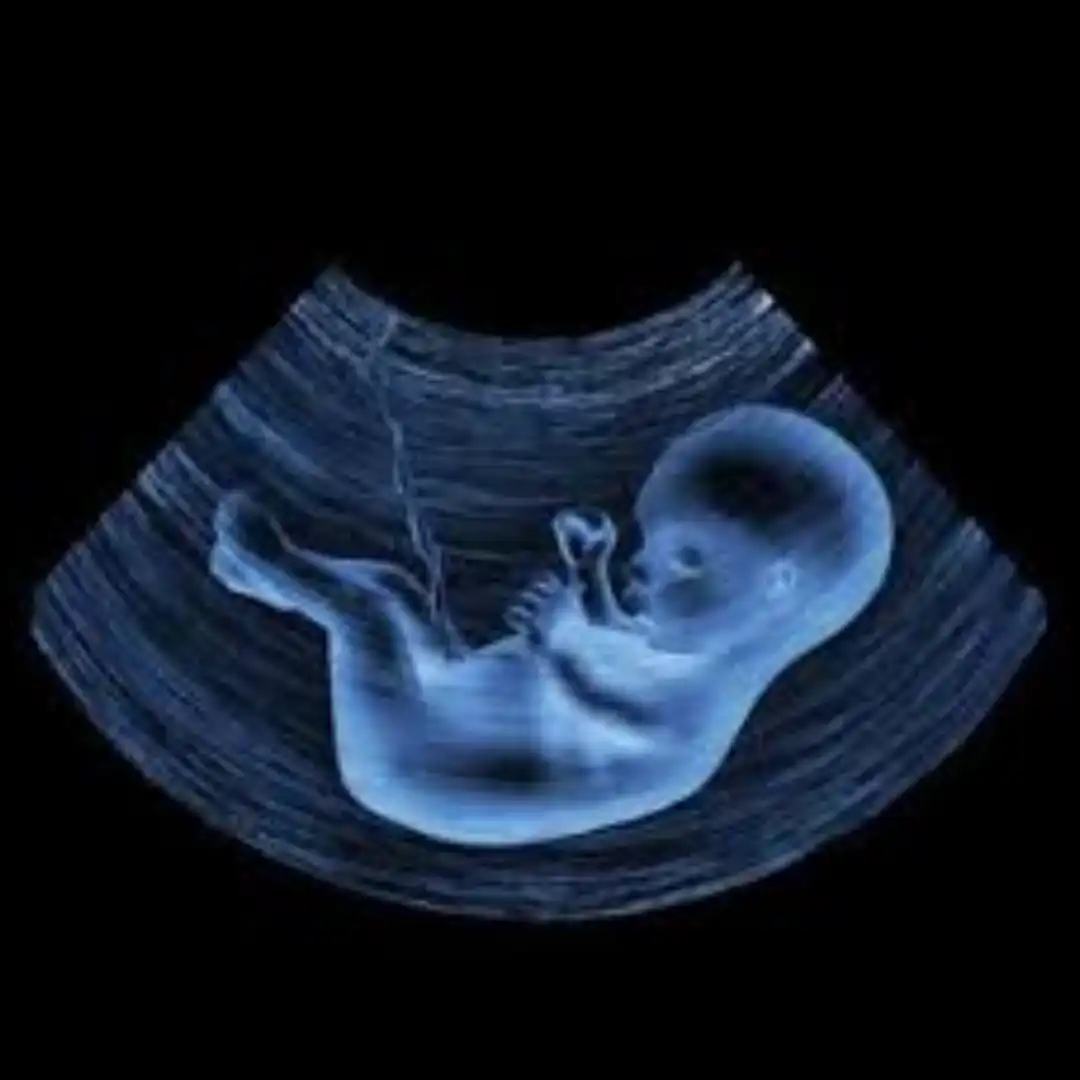 USG BIOPHYSICAL STUDY